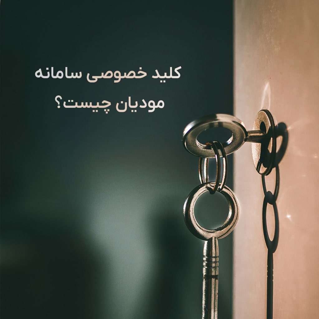 کلید خصوصی سامانه مودیان چیست؟چگونه میتوان برای دریافت کلید خصوصی برای سامانه مودیان اقدام کرد؟ما در این مقاله به این موضوع پرداخته ایم.